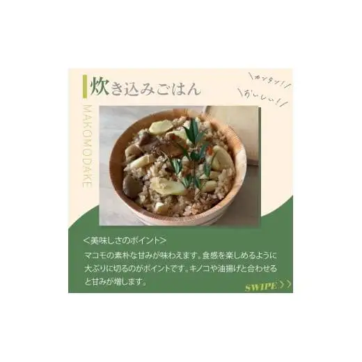 【2026年 先行予約】完全自然栽培マコモダケ 約1kg 【2026年9月中旬～発送予定】|マコモダケ まこもだけ マコモ たけのこ トウモロコシ 長野県 塩尻市