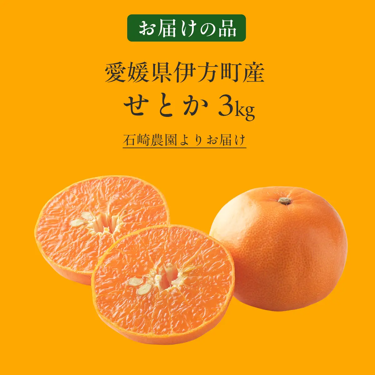 【先行予約】せとか3kg ※離島への配送不可 （2027年2月10日より順次発送予定） IKTAG003