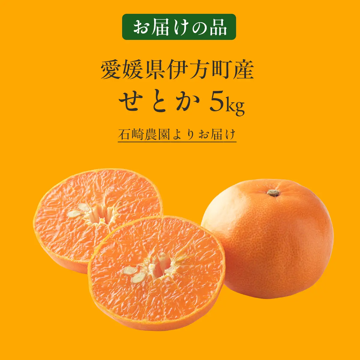 【先行予約】せとか5kg ※離島への配送不可 （2027年2月10日より順次発送予定） IKTAG004