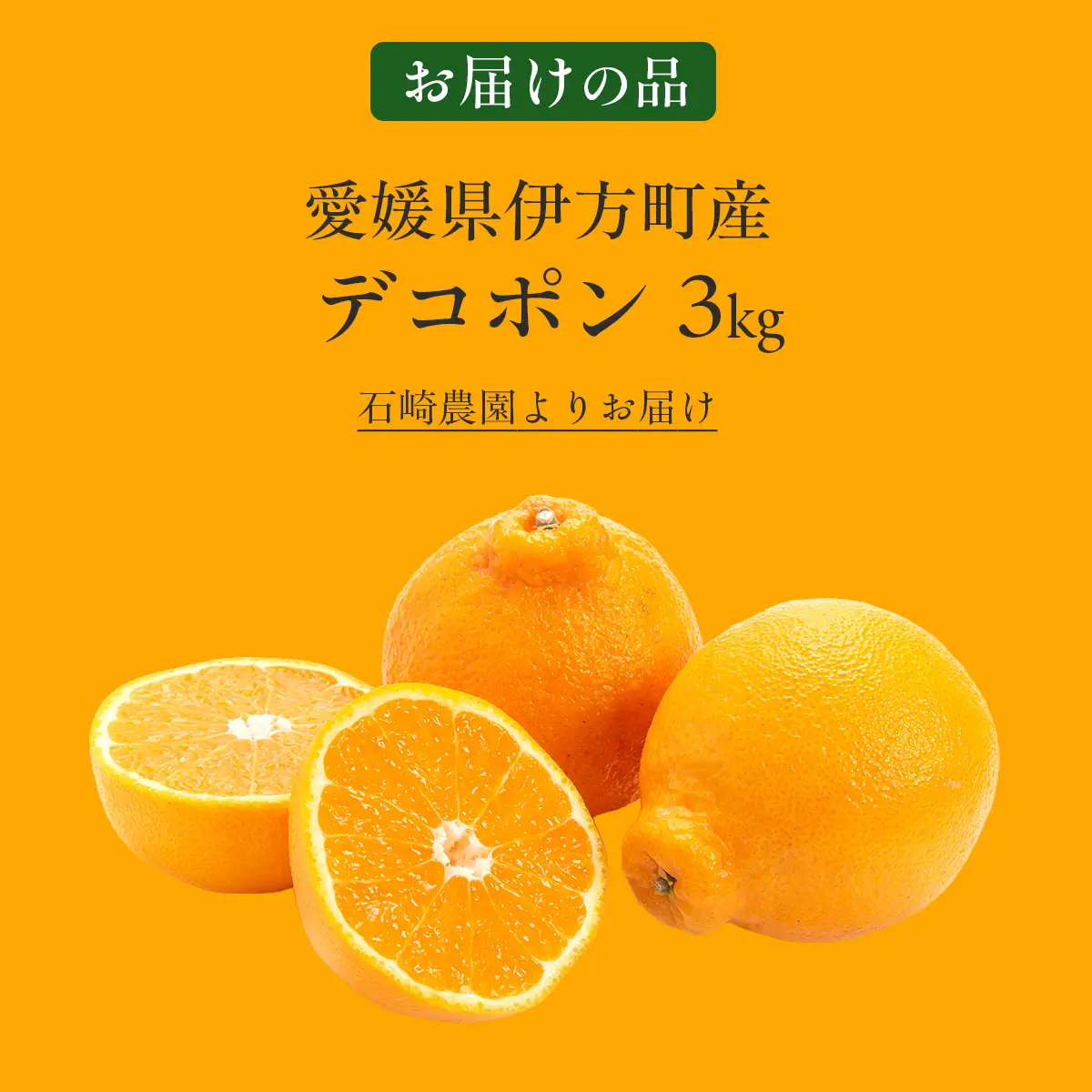 【先行予約】デコポン3kg ※離島への配送不可 （2027年2月10日より順次発送予定） IKTAG005