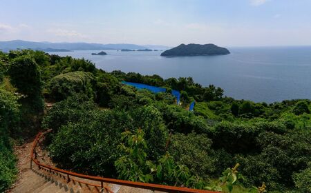 【先行予約】【数量限定】岡市農園！愛媛県産 愛果28号 3kg×1箱（2026年12月中旬より順次発送） IKTV003