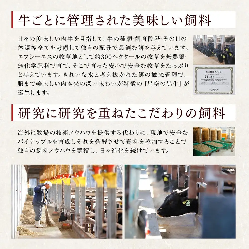 北海道 標茶町 星空の黒牛 ユッケ（生食牛肉真空）50g 3パック ブランド牛　| ユッケ
