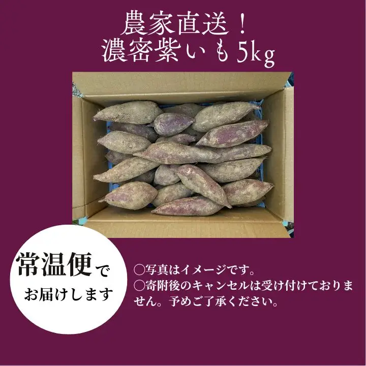 紫芋 農家直送！とろける濃密紫いも5kg【ADATARAふぁーむ】