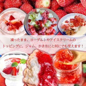 【2026年7月下旬から発送】紅い雫 冷凍イチゴ 1.5kg いちご 冷凍【WN0036】