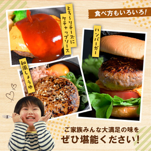 オアシス九州 熊本県産あか牛ハンバーグ150ｇ×５個 _U117-0048