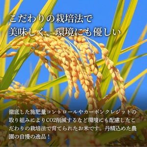 Y487 因幡の白兎米 ひとめぼれ 令和7年産 精米済 10kg（5kg×2袋）