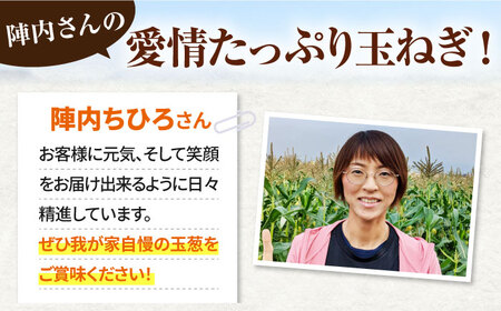 【先行予約 2027年5月～発送】【2回定期便】晩生玉ねぎとスイートコーン / 玉ねぎ [IAO030]