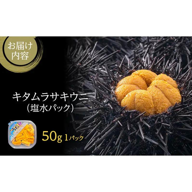 礼文産 キタムラサキウニ 塩水 50g×1(ピンバッジ付) うに