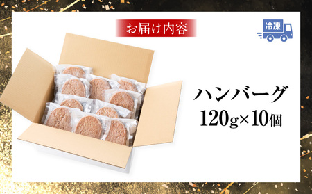 宮崎牛100％ハンバーグ 肉料理 お肉 冷凍