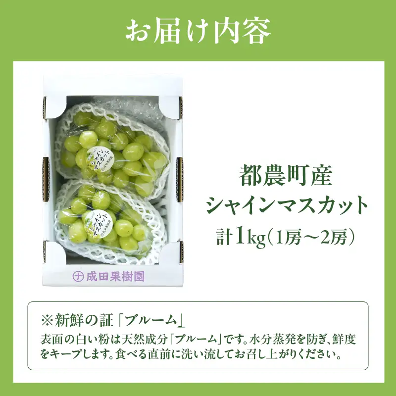 先行予約≪期間限定≫都農町産シャインマスカット(計1kg) ぶどう 果物 国産_T010-0025