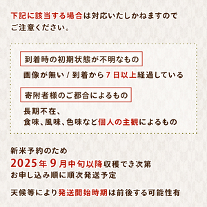 白米 10kg(5kg×2袋) 令和7年産 新米 精米 のと米 10kg
