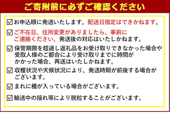 ＜先行予約受付中！2026年8月上旬以降順次発送予定＞＜数量限定＞シャインマスカット (約1.2kg) シャインマスカット 葡萄 ぶどう フルーツ 果物 くだもの 果実【115800100】【大分中央農産】