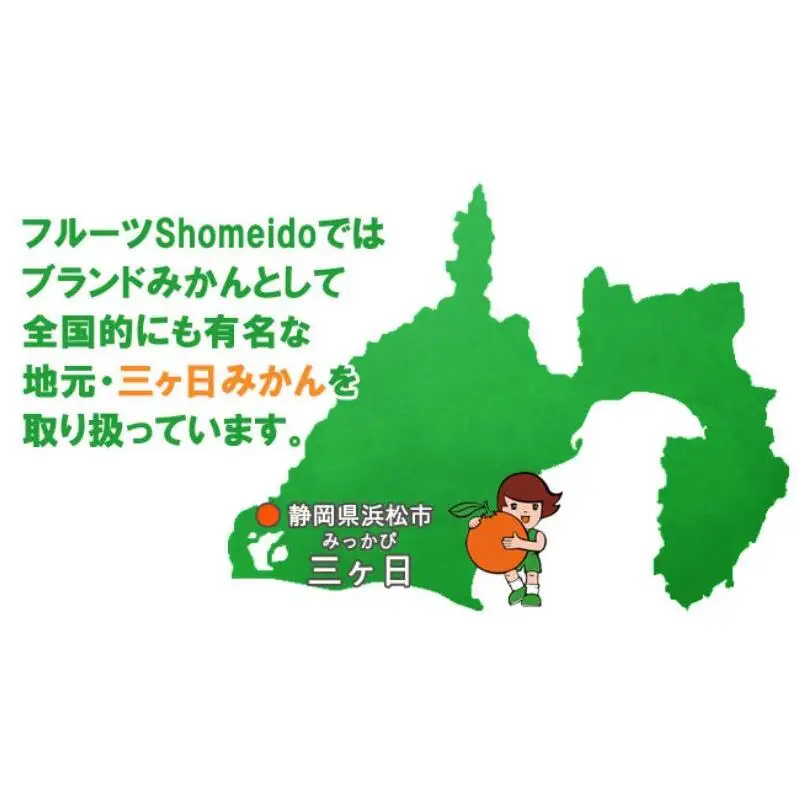 【季節限定製造】JAみっかび青島みかん果汁100％ストレートジュース　280ｇ缶×6本 みかんジュース ミカン フルーツ 搾りたて 浜松市 柑橘類