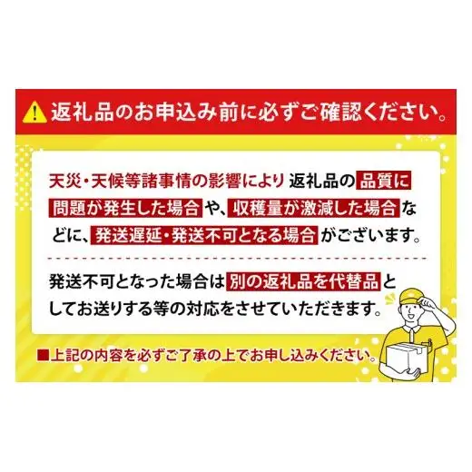 アップルマンゴー 約1kg(2～3玉)(家庭用)
