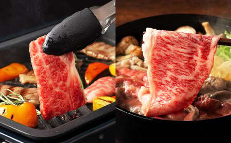 「フジチク」オリジナルふじ馬刺しと藤彩牛に球磨焼酎の熊本特産マリアージュ10種セット 馬 馬肉 焼酎 馬刺 九州 熊本