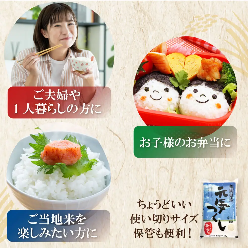 Z17-31 令和7年産 無洗米 元気つくし2kg