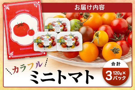 【先行受付】2027年1月より順次発送予定 【少量パック】カラフルミニトマト6種 360g（120g×3）トマト プチトマト 野菜 農家直送 ギフト 人気　たにぐちファーム Ricotomato（リコトマト）～とりこになるトマト～　A-211