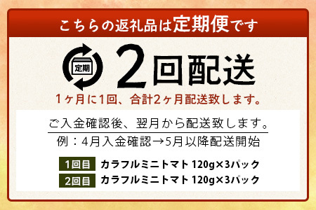 【2回定期便】【先行受付】2027年1月より順次発送｜【少量パック】カラフルミニトマト6種 360g（120g×3）｜トマト プチトマト 野菜 農家直送 ギフト 人気｜佐賀県鹿島市 たにぐちファーム C-147