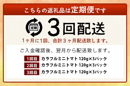 【3回定期便】【先行受付】2027年1月より順次発送｜【少量パック】カラフルミニトマト6種 360g（120g×3）｜トマト プチトマト 野菜 農家直送 ギフト 人気｜佐賀県鹿島市 たにぐちファーム D-241