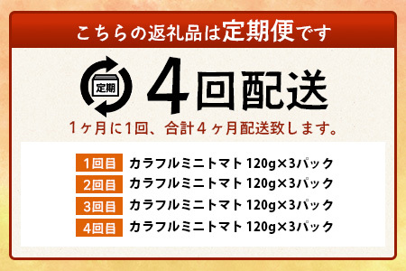 【4回定期便】【先行受付】2027年1月より順次発送｜【少量パック】カラフルミニトマト6種 360g（120g×3）｜トマト プチトマト 野菜 農家直送 ギフト 人気｜佐賀県鹿島市 たにぐちファーム E-159