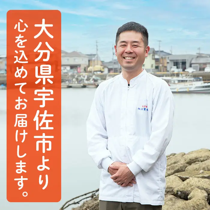 ＜訳あり＞天然エビフライ(計 30尾) 海老 えび エビフライ フライ 簡単 お弁当 おかず おつまみ 揚げるだけ 【104900900】【浜繁水産】