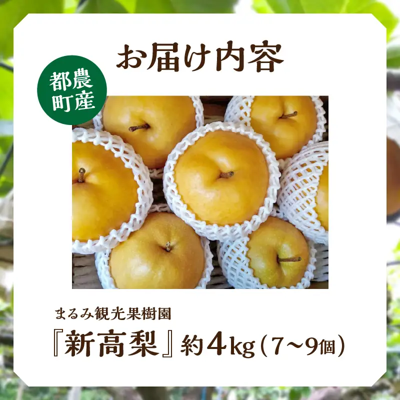 先行予約≪期間限定≫まるみ観光果樹園の『新高梨』(約4kg) なし 果物 フルーツ 天然 ミネラル栽培_T036-0025