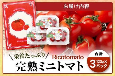 先行受付】2027年1月より順次発送予定|【少量パック】完熟ミニトマト6種 360g（120g×3）プチトマト 野菜 農家直送 佐賀県鹿島市 たにぐちファーム Ricotomato（リコトマト）～とりこになるトマト～　A-212