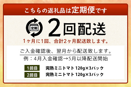 【2回定期便】【先行受付】2027年1月より順次発送予定【少量パック】完熟ミニトマト 360g (120gx3p) | トマト プチトマト 野菜 農家直送 ギフト 人気 佐賀県鹿島市 たにぐちファーム Ricotomato（リコトマト）～とりこになるトマト～ C-148
