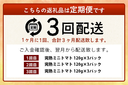 【3回定期便】【先行受付】2027年1月より順次発送予定【少量パック】完熟ミニトマト 360g (120gx3p) | トマト プチトマト 野菜 農家直送 ギフト 人気 佐賀県鹿島市 たにぐちファーム Ricotomato（リコトマト）～とりこになるトマト～ D-242