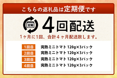 【4回定期便】【先行受付】2027年1月より順次発送予定【少量パック】完熟ミニトマト 360g (120gx3p) | トマト プチトマト 野菜 農家直送 ギフト 人気 佐賀県鹿島市 たにぐちファーム Ricotomato（リコトマト）～とりこになるトマト～ E-160