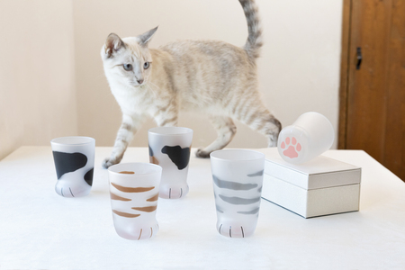 coconeco ここねこ 親猫グラス 2個セット (サバトラ・トラ)｜猫 ネコ ねこ 肉球 にくきゅう 動物 かわいい コップ カップ グラス 食器 アデリア 石塚硝子 [0763]