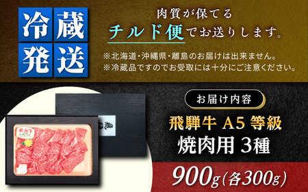 飛騨牛 A5 焼肉用3種盛り！ ロース・もも・バラ 各300g / 恵那市 / 東美濃農業協同組合 [AUFX023]