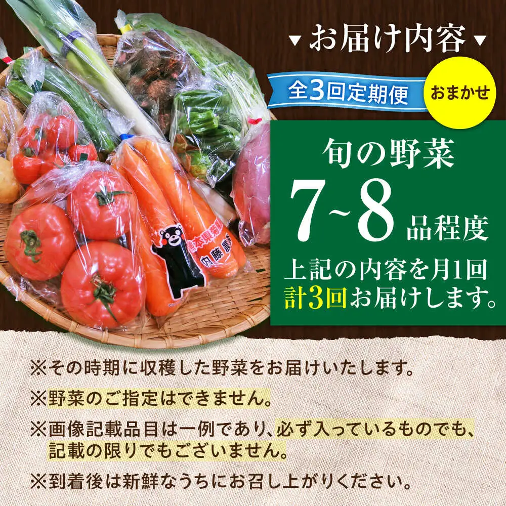 全3回定期便 旬の 野菜 セット 約3kg/ 野菜 7-8品程度 BHAK024