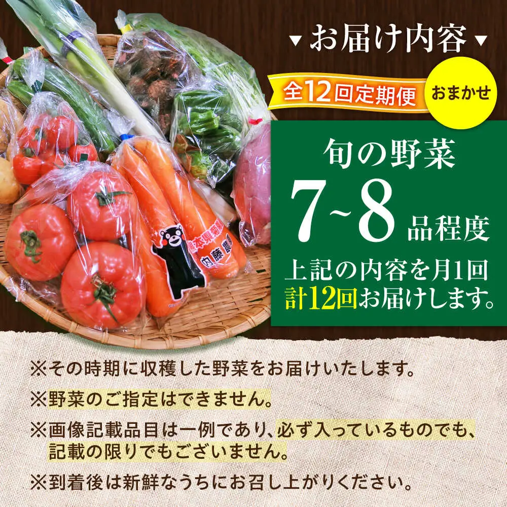全12回定期便 旬の 野菜 セット 約3kg/ 野菜7 -8品程度 BHAK026