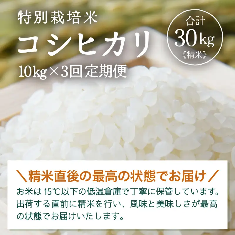 【先行予約】【令和8年産】定期便 ≪3ヶ月連続お届け≫ 特別栽培米 コシヒカリ 精米 10kg×3回（計30kg）※2026年10月上旬より順次発送 [aw121-f002]
