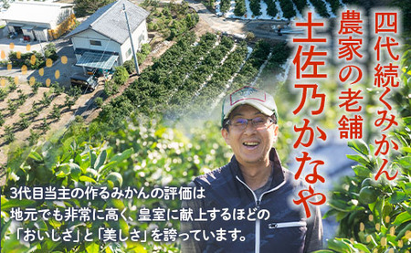 【2026年11月より順次配送】訳あり 小玉 早生みかん 10kg みかん be-0122
