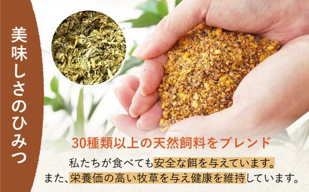 たまご 平飼いもみじたまご 40個 [OAC013]