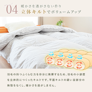掛け布団  色(ベージュ) ダウン90% 0.7kg入り エコテックス認証 羽毛合 掛け布団 シングル ロング