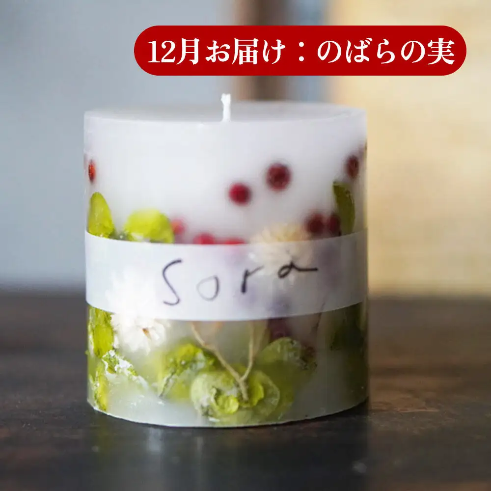 《定期便全4回》配送月固定 ボタニカル キャンドル  全4個（1個×4回お届け）【3ヶ月に1回お届け 3月 6月 9月 12月】
