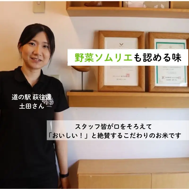 新米予約！野菜ソムリエプロselect／萩のお米「紫雲山プレミアム」 萩市紫福産コシヒカリ・はぜかけ米5㎏