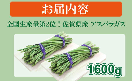 全国生産量 第2位！アスパラガス（1,600g）新鮮採れたて 農家直送 アスパラ B170-021