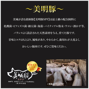 【6ヶ月定期便】【常陸牛 A5ランク・美明豚すきしゃぶセット】常陸牛肩ロースすき焼き用180ｇ＋美明豚しゃぶしゃぶ用200ｇ（ロース100ｇ・ばら100ｇ）（EK-31_2）