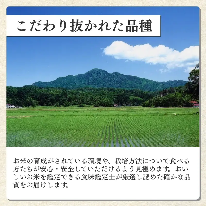 【定期便6か月】食味鑑定士厳選 コシヒカリ 無洗米 コシヒカリ 5kg