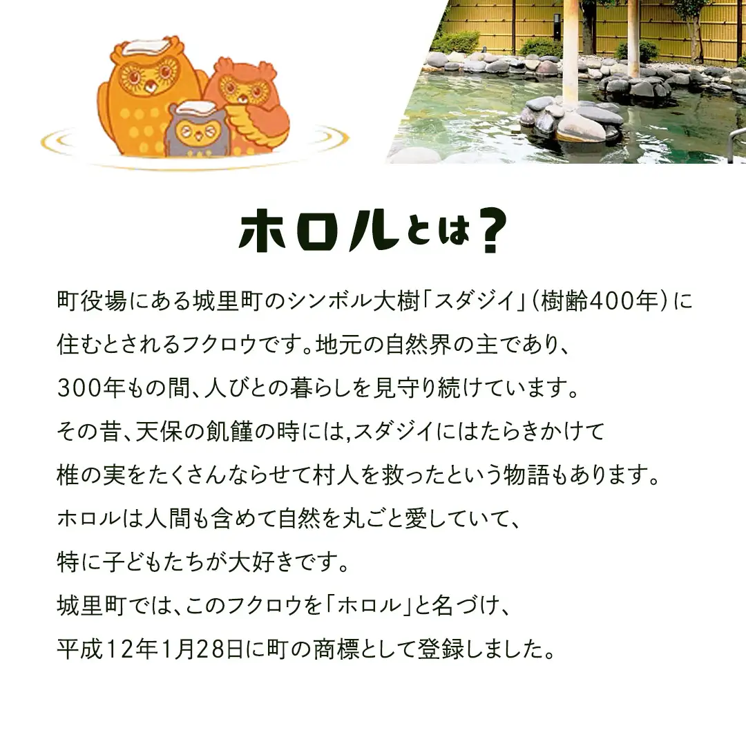 ホロルの湯 招待券 3枚 温泉 大浴場 利用券 回数券 チケット 家族で楽しむ 家族 子供 親子 癒し 休日 夏休み 冬休み 春休み 休み 日帰り温泉 おんせん アルカリ性 ふるさと納税 茨城 城里 (BG002)
