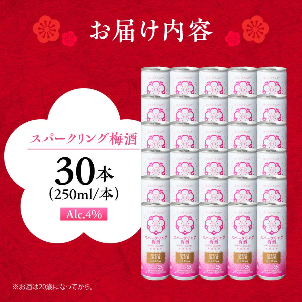 スパークリング梅酒 1ケース(250ml×30本入り) / 梅酒 本格梅酒 梅  / 日田市 / 株式会社おおやま夢工房[ARCW012]