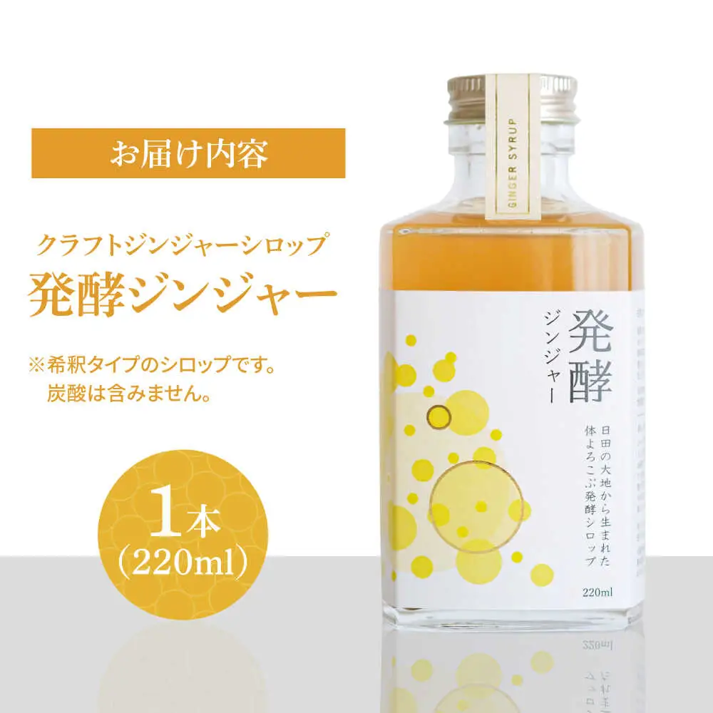 【お中元対象】ピリっと生姜にスパイスの甘い香り！身体にも心にも優しい発酵ジンジャーシロップ！発酵ジンジャー（1本）スパイス 炭酸 シロップ[ARDA008]