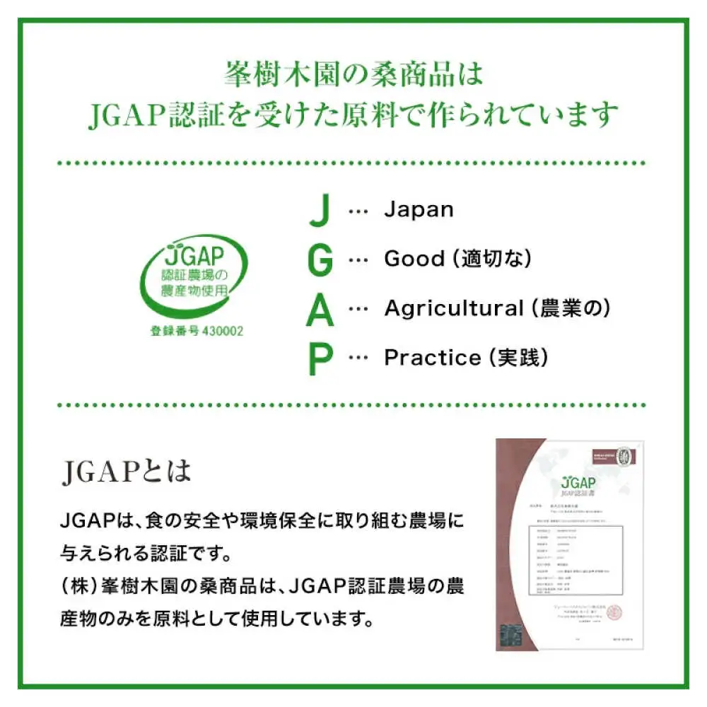 桑の葉茶 ティーバッグ3g×30P 1袋 お茶[AYBM020]