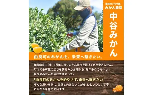 ゆら早生みかん 2kg / 柑橘 和歌山県 由良町 極早生 早生 早生みかん 柑橘 甘い 完熟 密柑 人気 おすすめ くだもの 果物 フルーツ  農家直送 産地直送 ※2026年10月中旬頃～10月下旬頃に順次発送予定【nktn003-r-2】