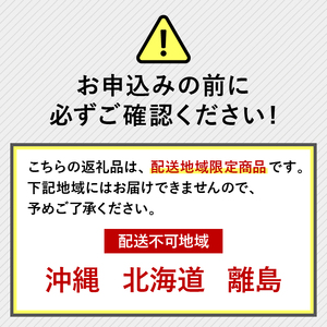【全3回定期便】 いちご きらぴ香 約1kg 1月 2月 3月発送