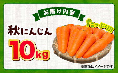 【先行予約】【2026年12月順次発送開始】秋にんじん 10kg にんじん BHCW006